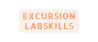 EXCURSION labskills