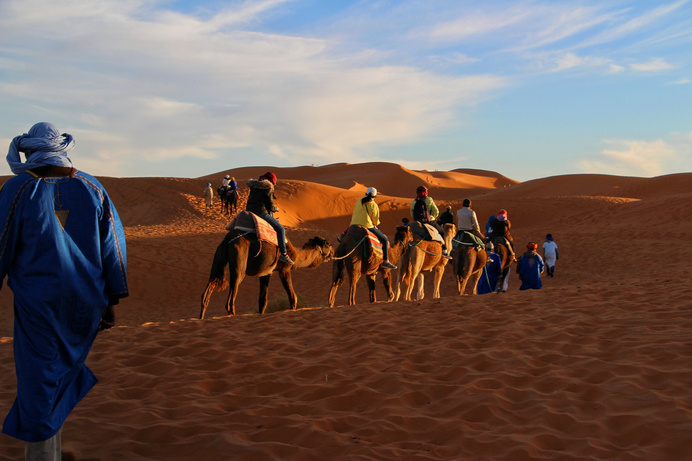 Camel Caravan Adventure